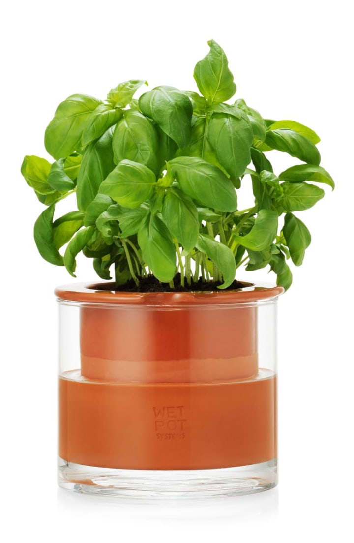 Moma Design Self-Watering Pot