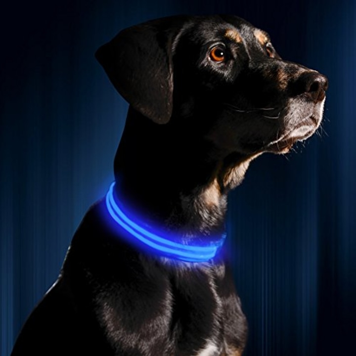 LED Dog Collar - USB Rechargeable - Available in 6 Colors &amp; 6 Sizes - Makes Your Dog Visible, Safe &amp; Seen