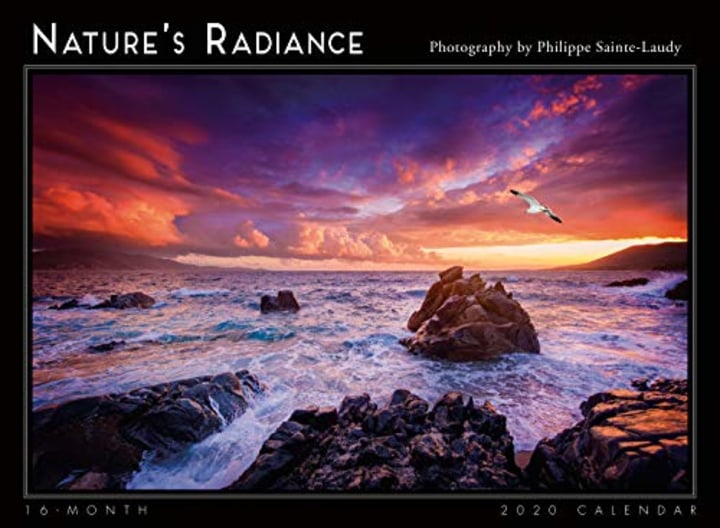 Nature&#039;S Radiance 2020 Wall Calendar: by Sellers Publishing