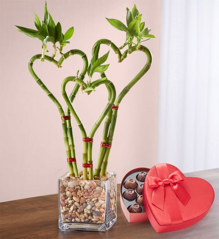 1-800-Flowers Heart Shaped Bamboo