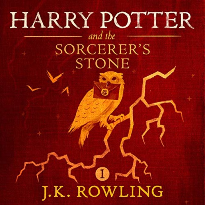 Harry Potter and the Sorcerer&#039;s Stone, Book 1