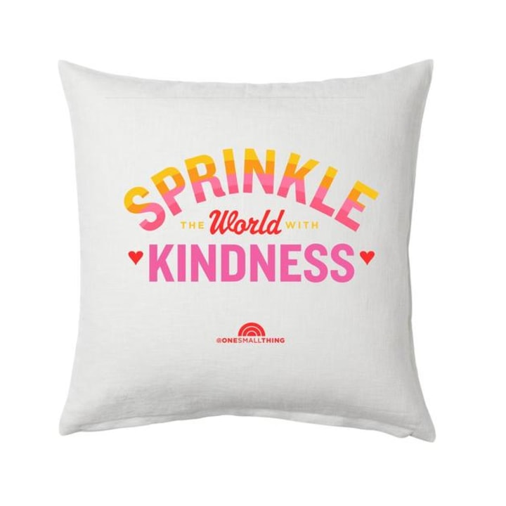 TODAY One Small Thing Throw Pillow