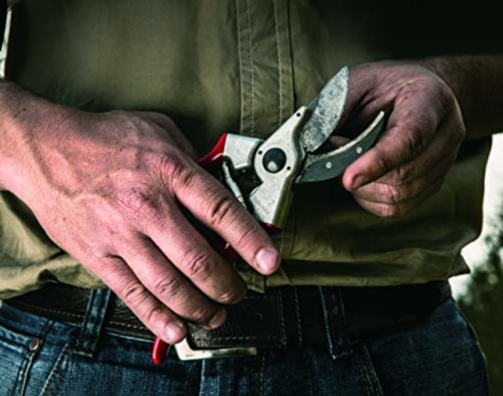 Felco F-2 068780 Classic Manual Hand Pruner