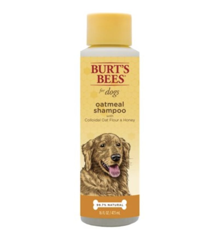 Burt's Bees Oatmeal Shampoo with Colloidal Oat Flour & Honey