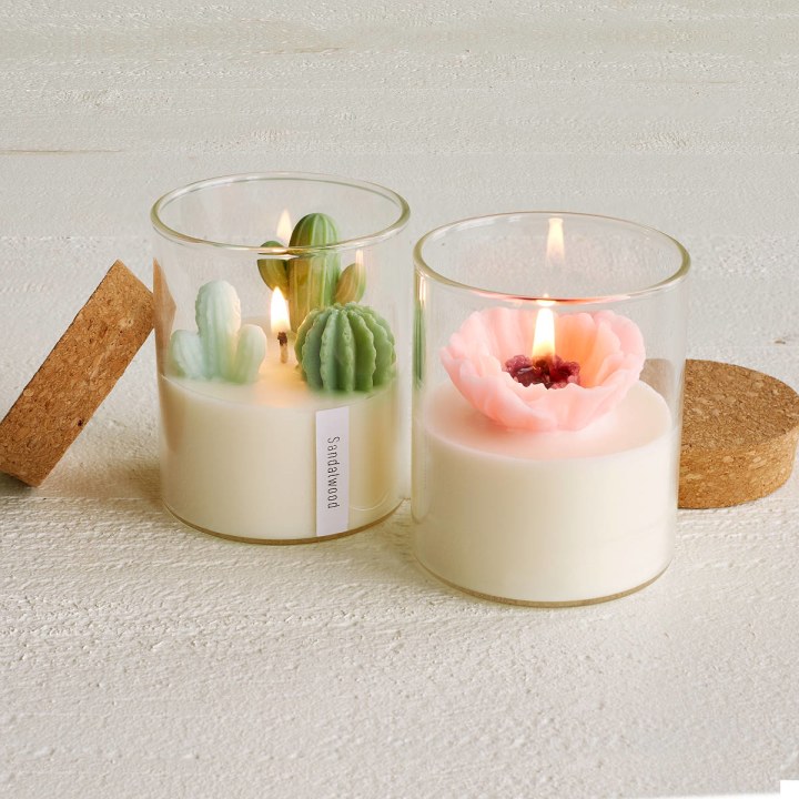 Terrarium Candle | Cactus Candles, Flower Candles