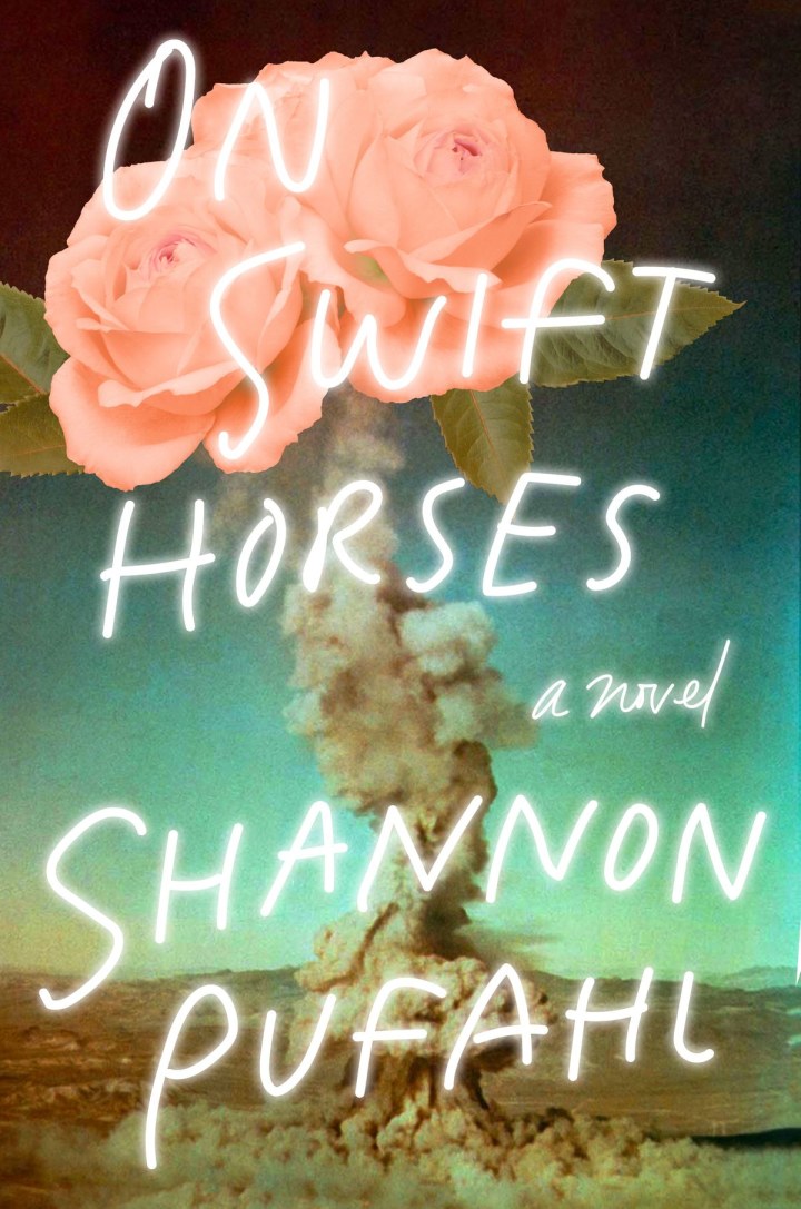 More About On Swift Horses by Shannon Pufahl