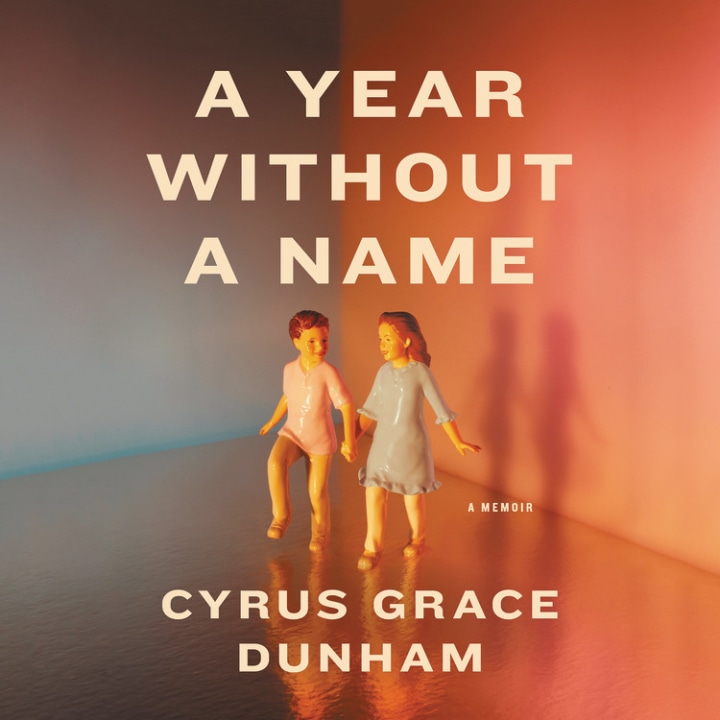 A Year Without a Name : A Memoir