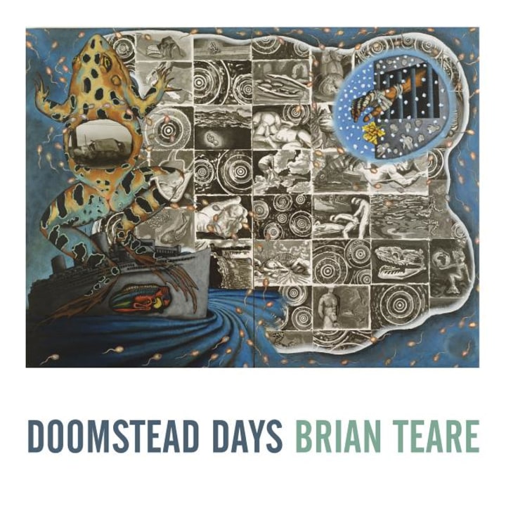 More About Doomstead Days by Brian Teare