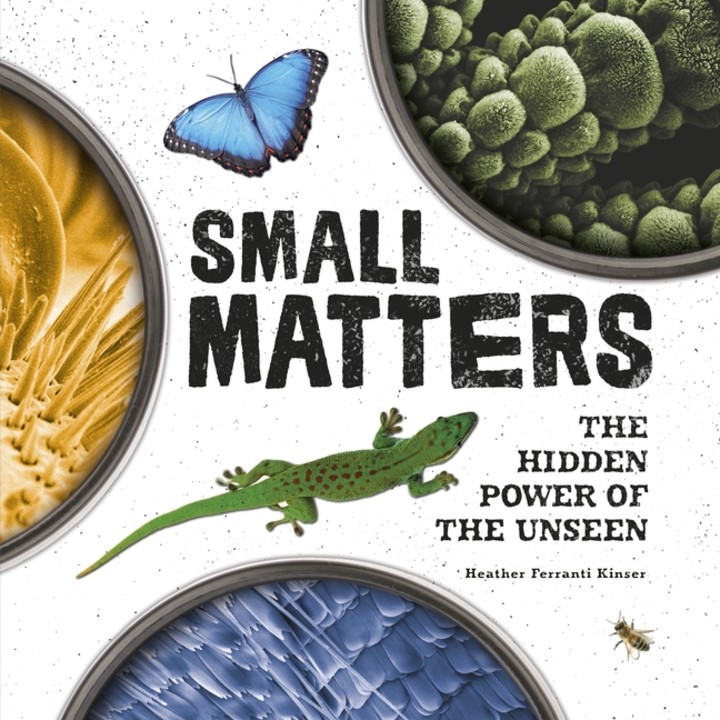 "Small Matters," by Heather Ferranti Kinser