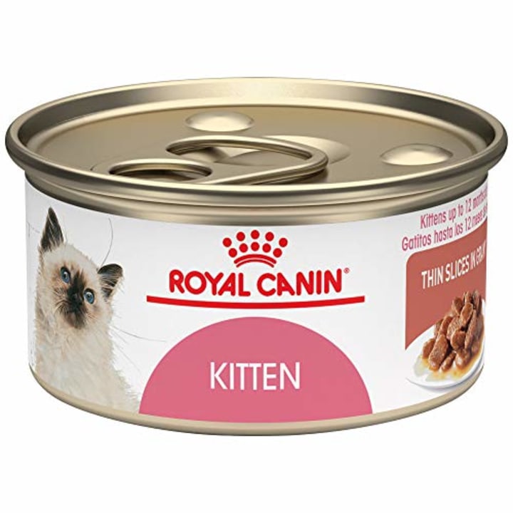 kitten food cost