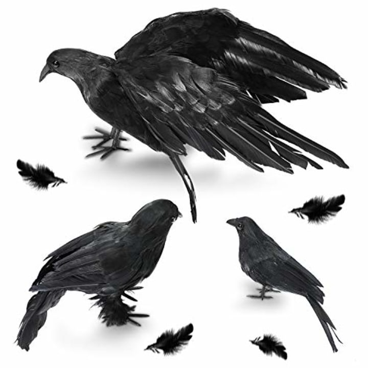 Halloween Crow Decorations