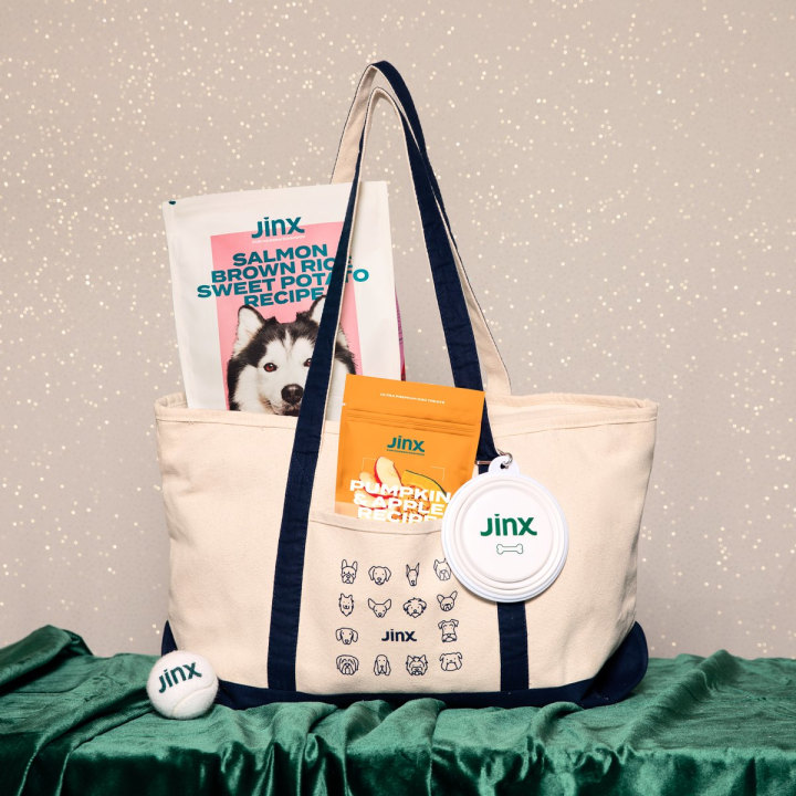 Jinx Weekender Wag Bag