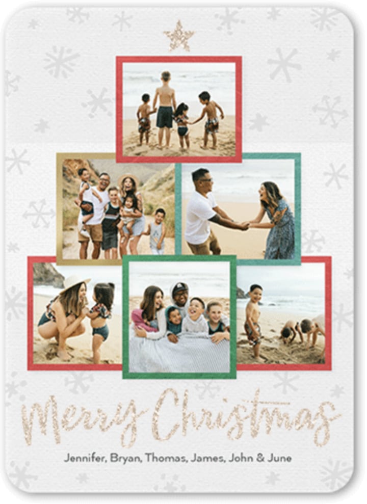 Tree Gallery Christmas Card (25 Cards)