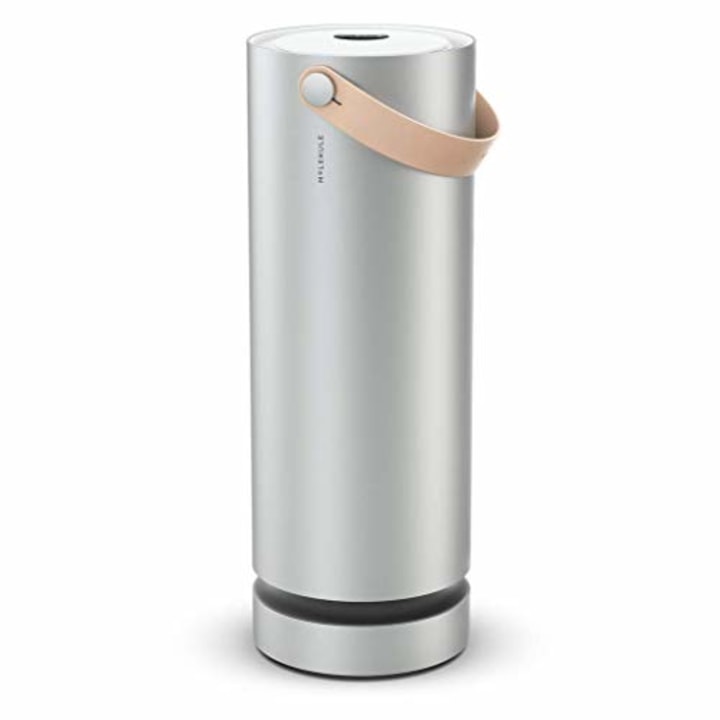Molekule Air Large Room Air Purifier with PECO Technology for Allergens, Pollutants, Viruses, Bacteria, and Mold, Silver