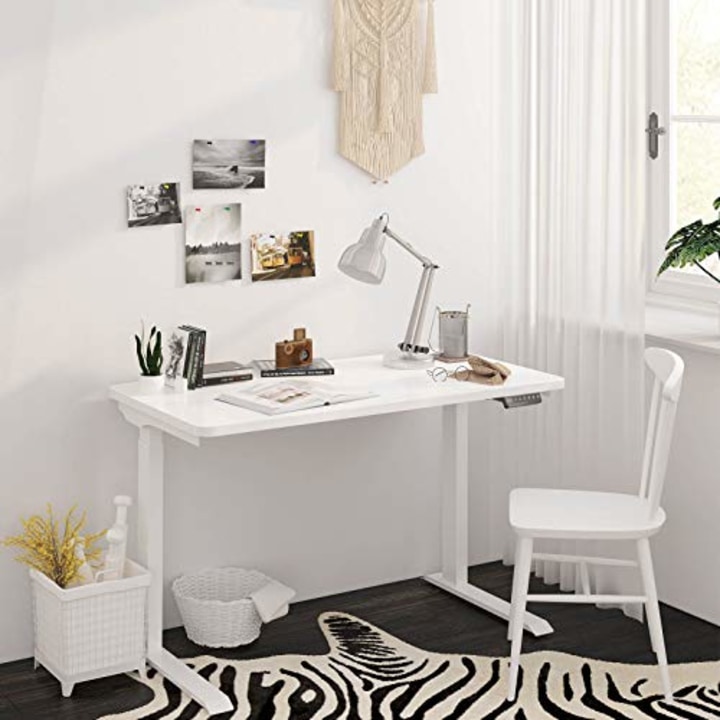Flexispot Electric Height Adjustable Standing Desk Quick Installation with Memory Controller Sit Stand Desk 48 x 24 Inches Whole-Piece Desk Board(White Frame + 48&quot; White Top)