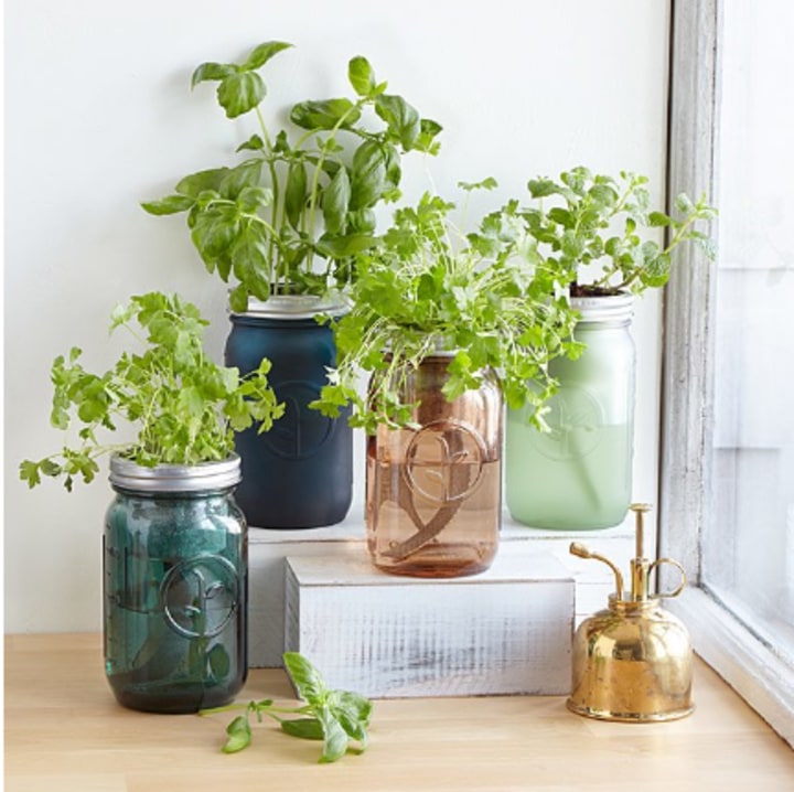 Mason Jar Indoor Herb Garden