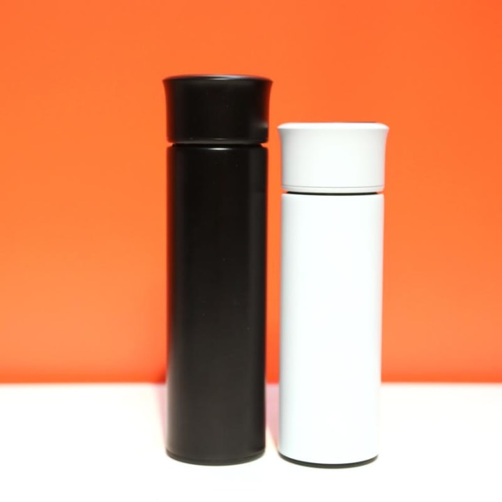Link UV-C Self-Cleaning Water Bottle