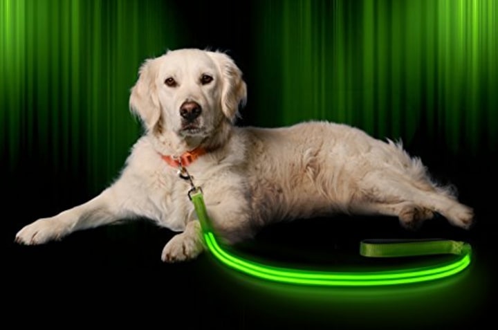 Illumiseen LED Dog Leash - USB Rechargeable - Your Dog Will Be More Visible &amp; Safe - 6 Colors (Red, Blue, Green, Pink, Orange &amp; Yellow) - Perfect to Use with Our Matching Collar (6 Feet, Green)