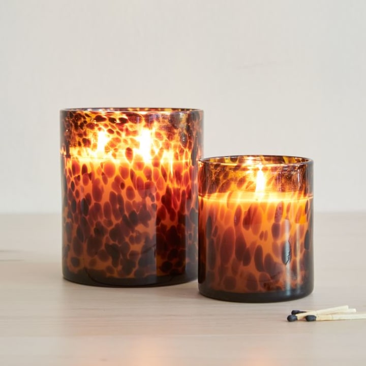 Tortoise Glass Candles - Vetiver Oud