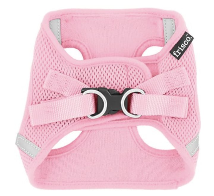 Frisco Small Breed Soft Vest Dog Harness. Best Dog Harnesses 2021.