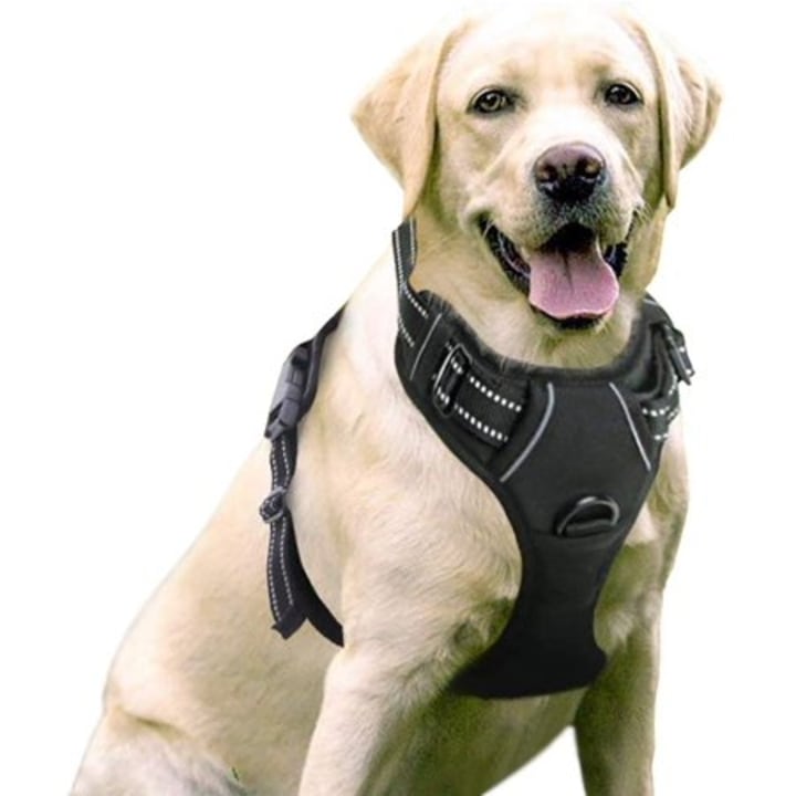 Padded Pet Vest All Weather Mesh Dog Harness Breathable Walking Pet Harness No Pull Soft Step in Vest Harness Suitable for Small Medium Large Dogs Cats Training Walking Adjustable Outdoor Pet Vest 