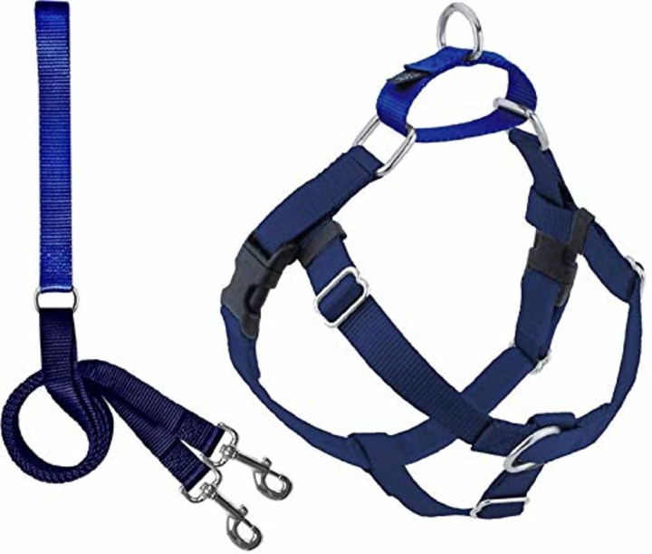 8 Best Dog Harnesses In 21 Find The Best Harness For Your Dog