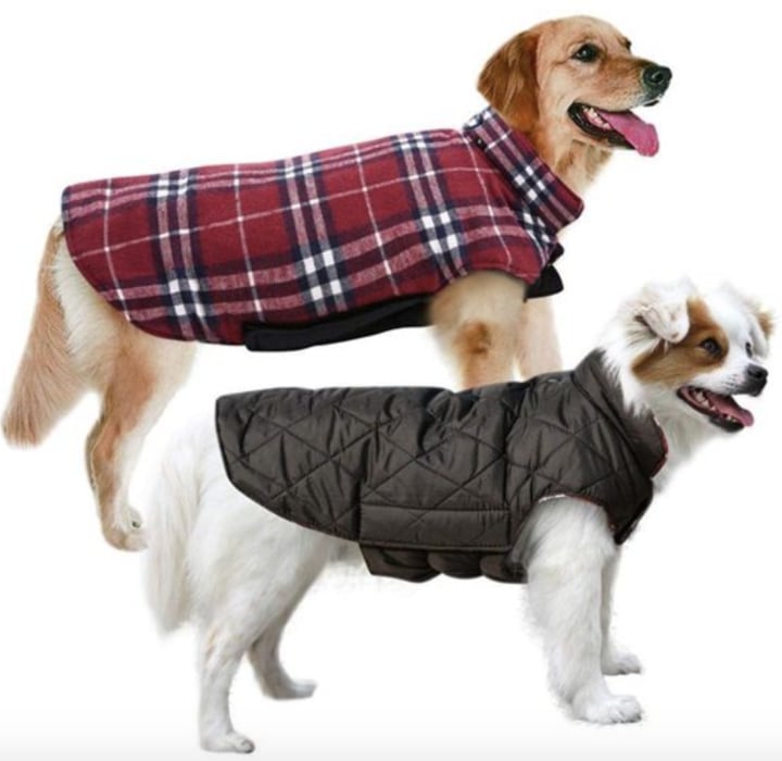 British Style Plaid Reversible Waterproof Windproof Pet Winter Warm Vest Cozy Cotton Lined Stand-up Collar Outdoor Jacket Apparel for Small Medium Large Dogs SUNFURA Reflective Dog Cold Weather Coat