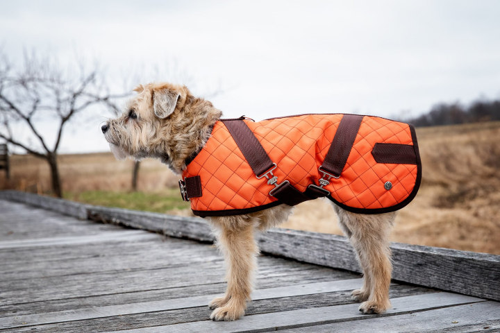 Red Quilted Navy Trim Pocket Jacket Dog XXS New pet petco Pup Crew coat puppy 