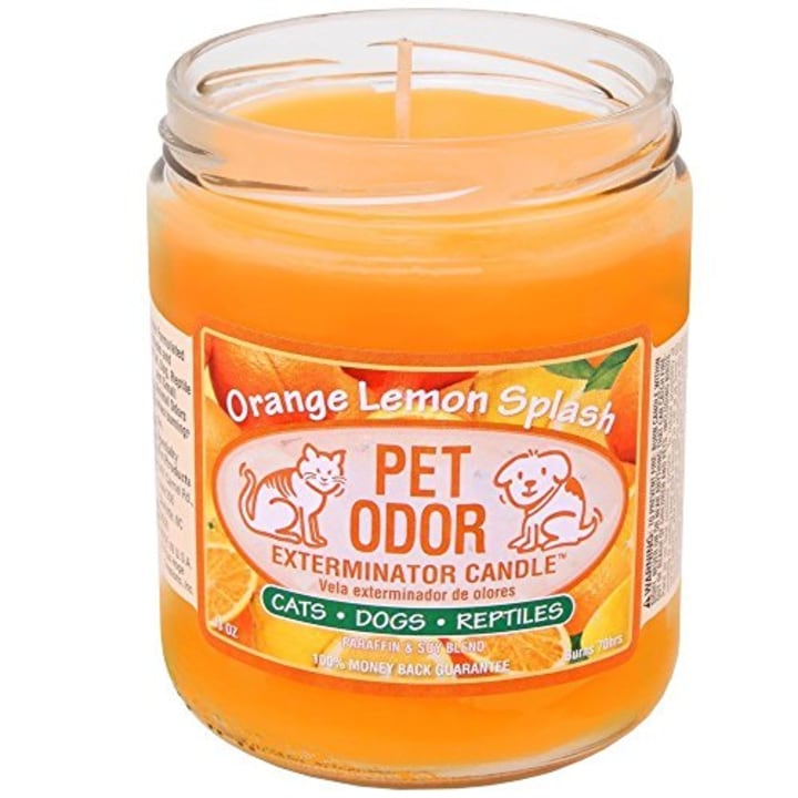 Pet Odor Exterminator Candle Orange Lemon Splash Jar (13 oz)
