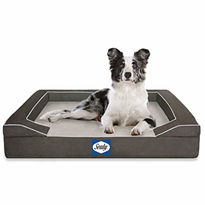 Sealy Premium Bolster Dog Bed. Best outdoor dog beds in 2021.