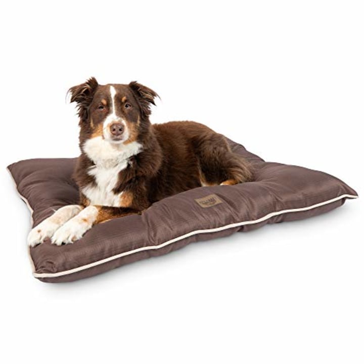 Pet Craft Supply Indoor/Outdoor Dog Bed. Best outdoor dog beds in 2021.