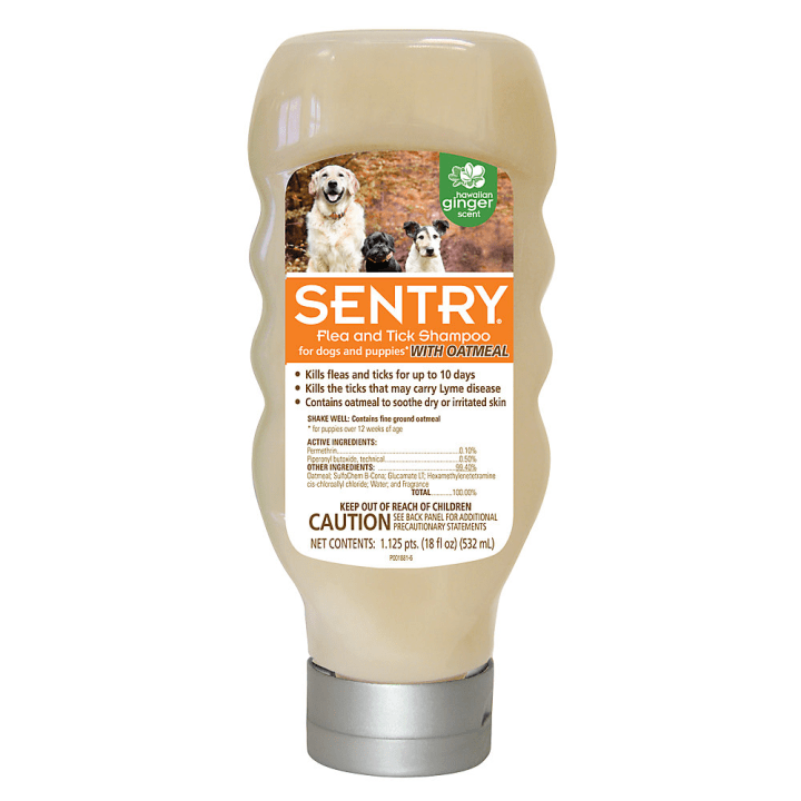 SENTRY(R) Flea & Tick Dog Shampoo with Oatmeal. How to get rid of fleas.