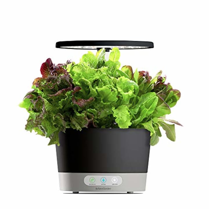 AeroGarden Gr Harvest 360 360-Black w/Heirloom Salad Greens Seed Pod Kit, Black