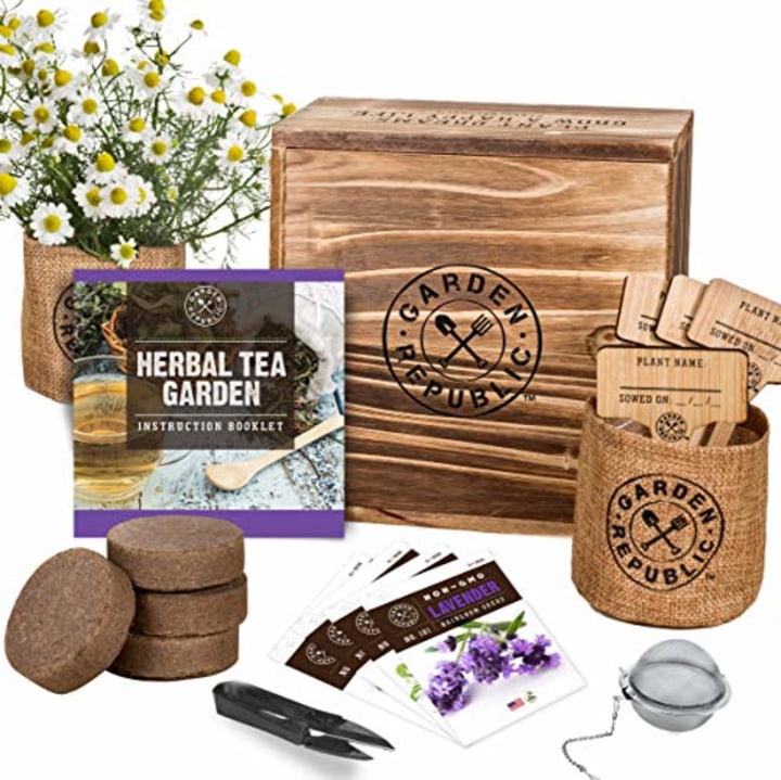 Indoor Herb Garden Seed Starter Kit