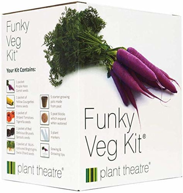 Plant Theatre Funky Veg KIT Gift Box