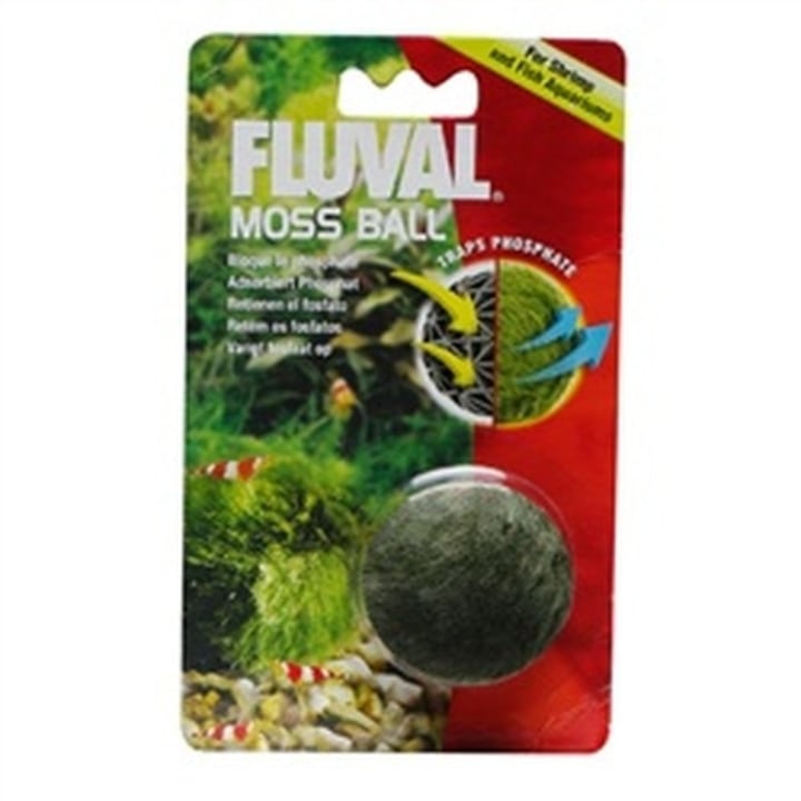 Fluval Aquarium Moss Ball. Best National Pet Day Gifts 2021.
