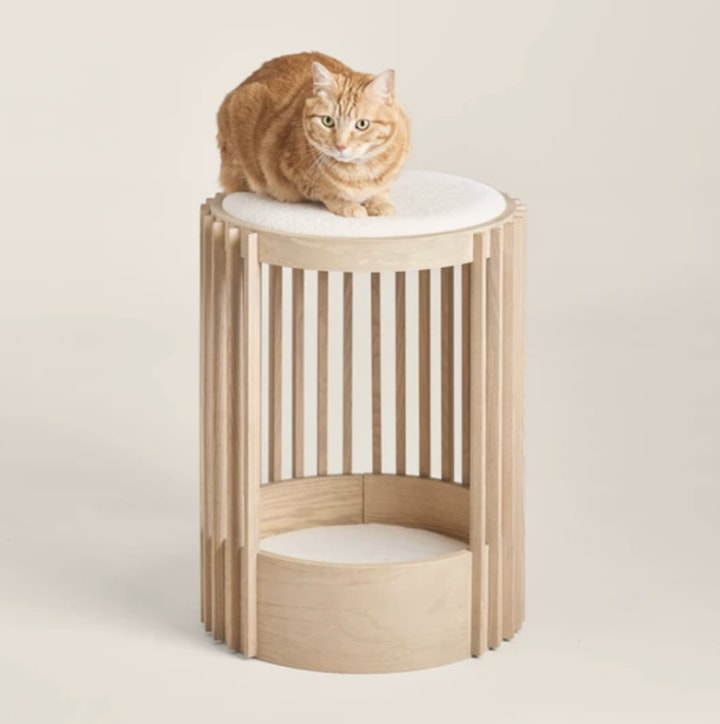Tuft + Paw Grove Cat Tower. New and notable launches this week.