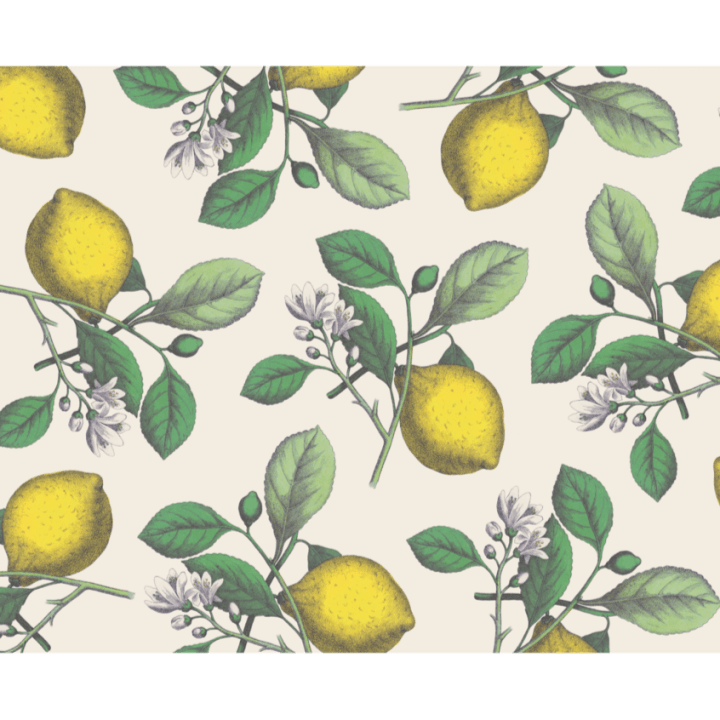 Emily McCarthy Lemon Placemats