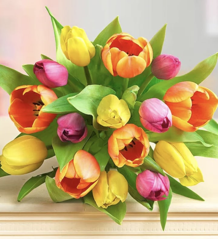 1-800Flowers Mother's Day Radiant Tulips
