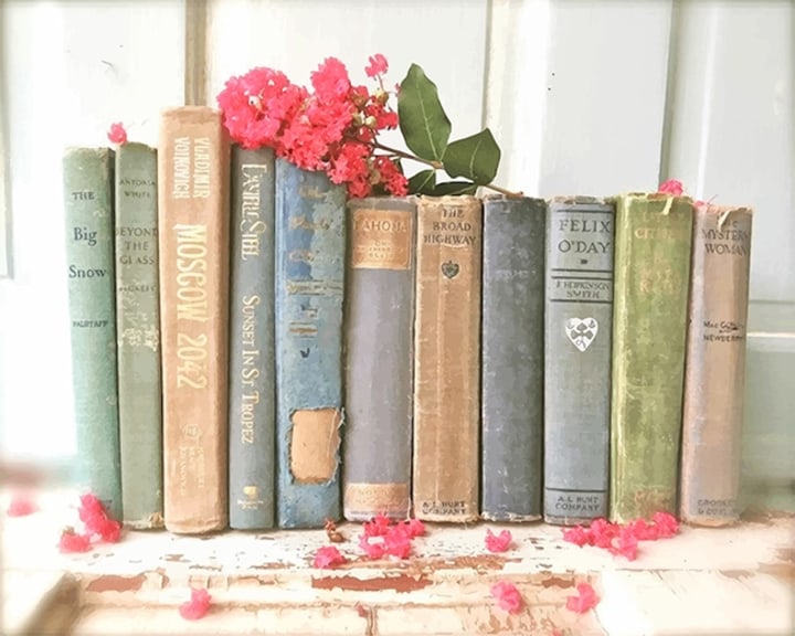 Vintage Books - Paint By Numbers