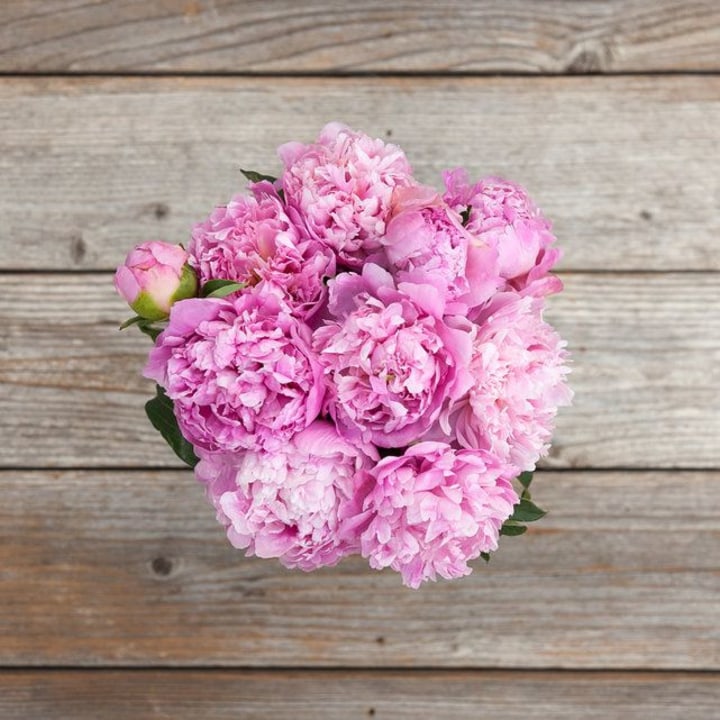 Know Your Roots Meet the farmer. Best Mother's Day flowers and floral delivery services.