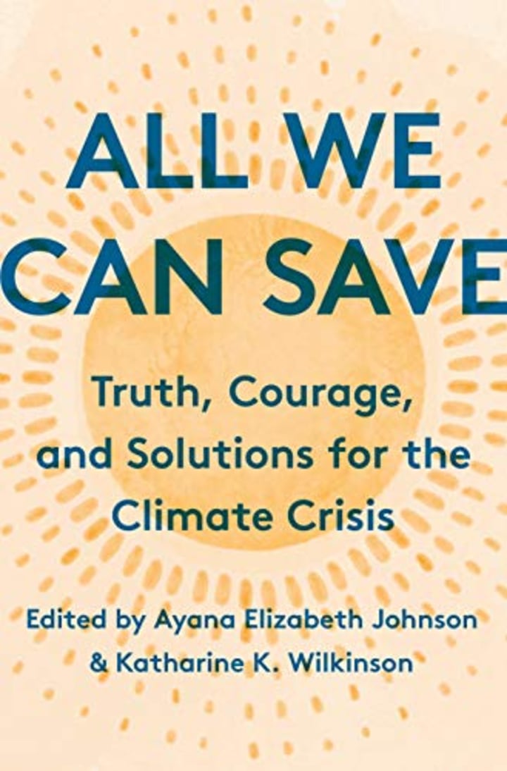 All We Can Save. Best books on climate change.