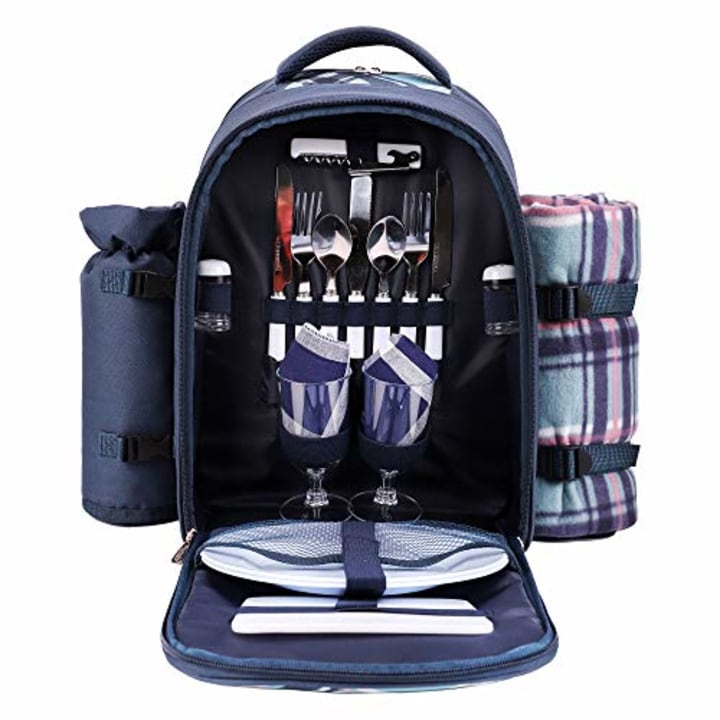 apollo walker Picnic Backpack Bag for 2 Person with Cooler Compartment, Detachable Bottle/Wine Holder, Fleece Blanket, Plates and Cutlery (Blue)