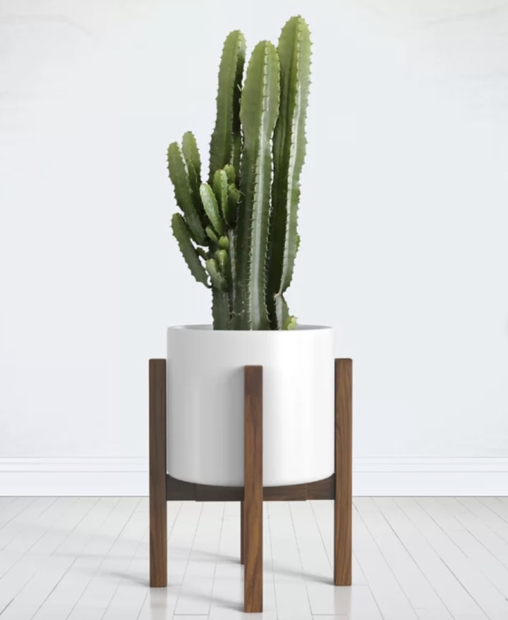 George Oliver Square Modern Plant Stand