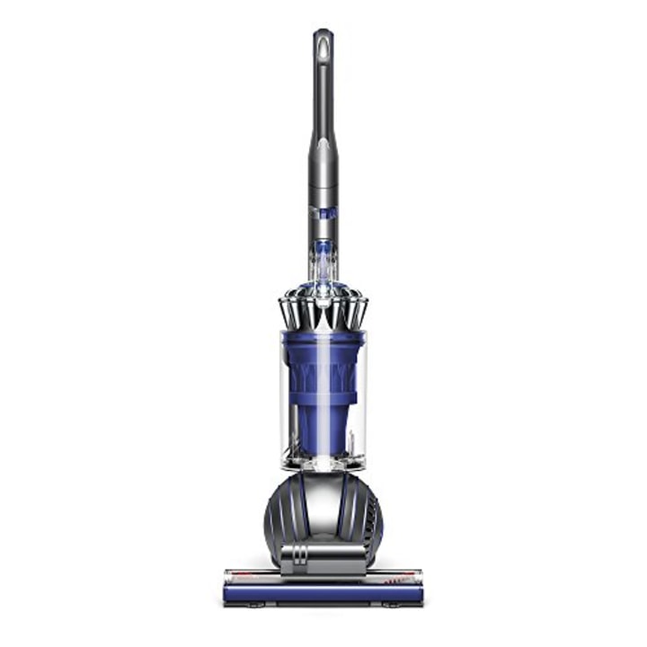 Dyson Ball Animal 2 Total Clean Upright Vacuum. The best pet hair removal tools for 2021.