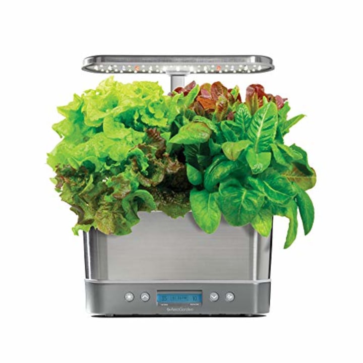 The 6 best indoor garden kits and systems of 2021