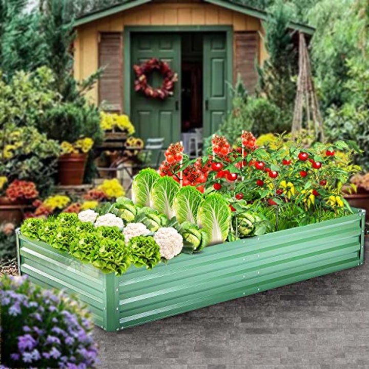 12 Best Raised Garden Beds In 2021, How To Use Keter Raised Patio Garden Bed