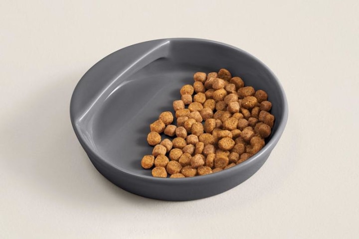 Tuft and Paw Dock Bowl