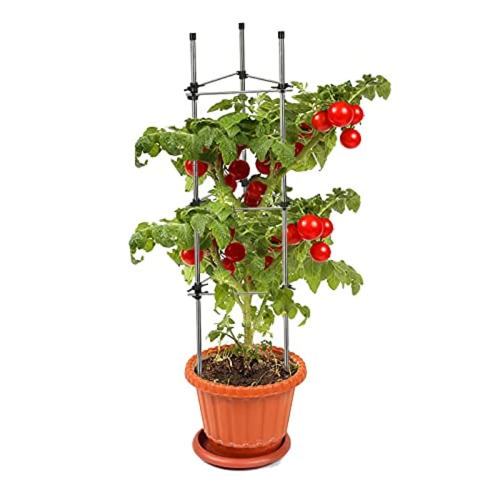 TEXAS TOMATO CAGE 6 Ft 20" Dia Med Cages 6 PK for Plant Support Cages Gardening 