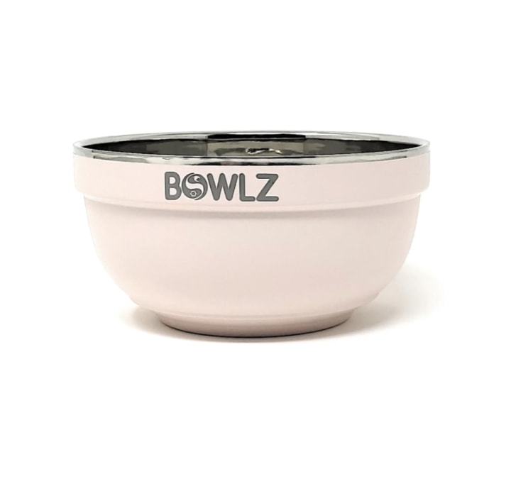 Bowlz Ice Cream Bowl